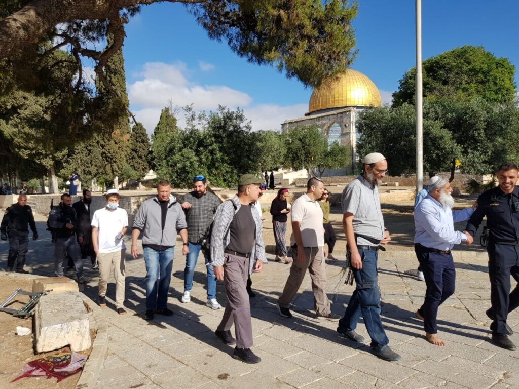 197 مستوطناً اقتحموا المسجد الأقصى