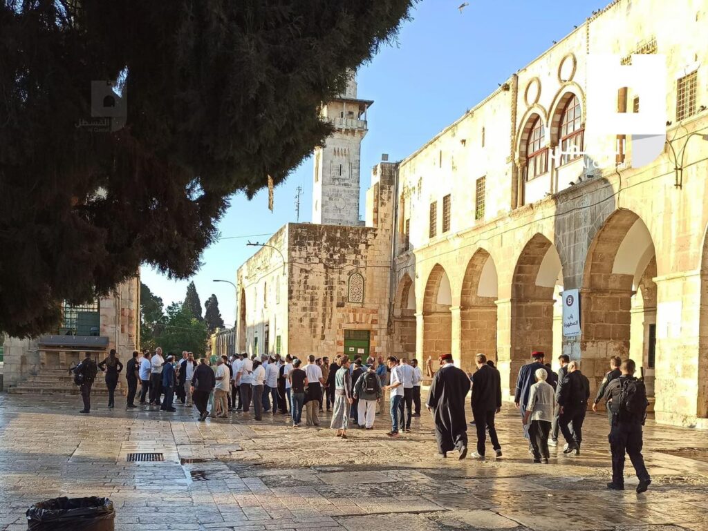 257 مستوطنًا دنّسوا باحات المسجد الأقصى