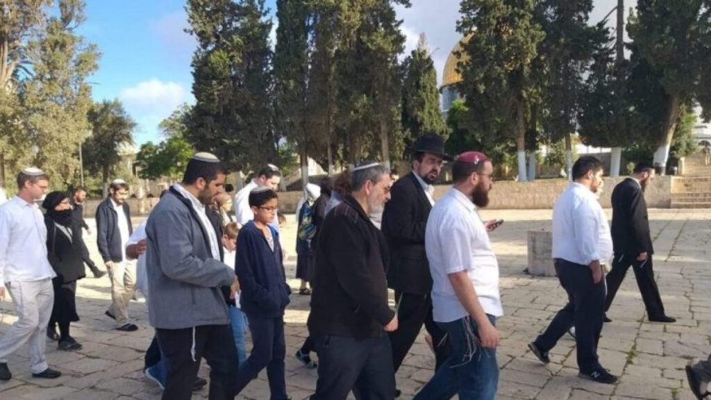 439 مستوطناً يقتحمون الأقصى