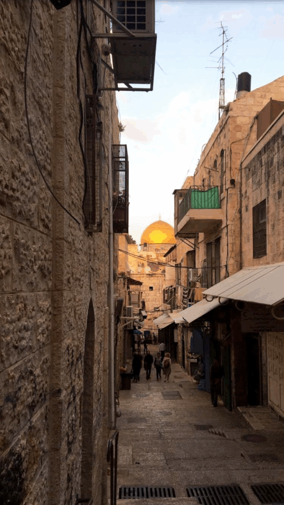 حيّز الأقصى يُستهدف بالتهويد