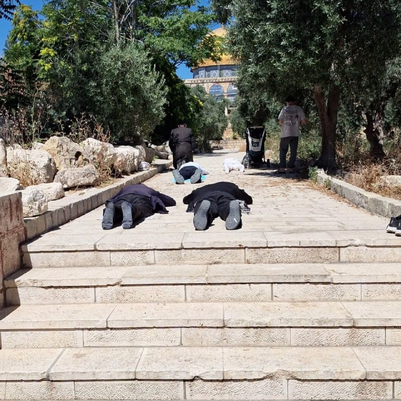 انتهاكات الاحتلال في القدس خلال الأسبوع الأول من يوليو 2026