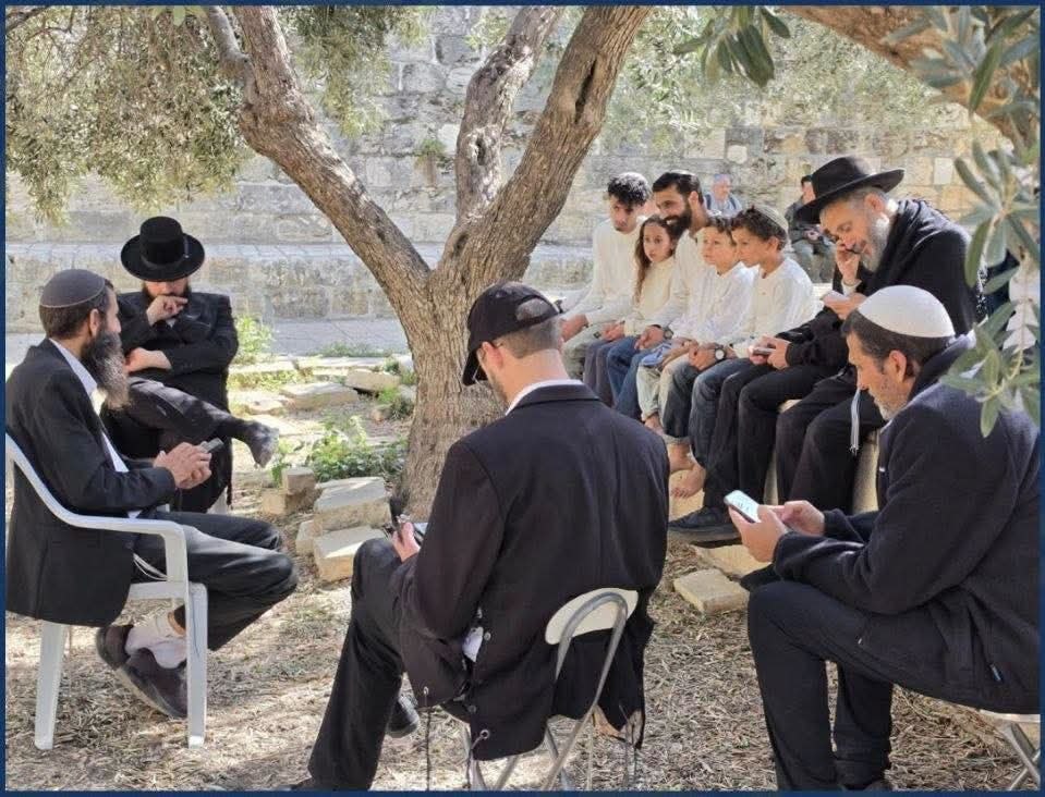 960 مستوطنًا اقتحموا الأقصى وهدم 7 شقق بالقدس خلال أسبوع